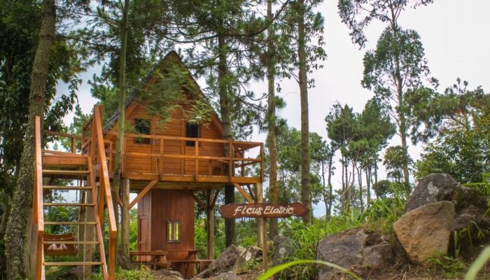 Jelang Tahun Baru 2019, Gunung Papandayan Ramai Dikunjungi Wisatawan