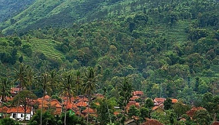 Akan Dikembangkan Hutan Wisata di Kawasan Cipanas Garut