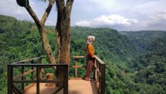 Bupati Garut Setuju Peralihan Hutan dari Cagar Alam Jadi TWA