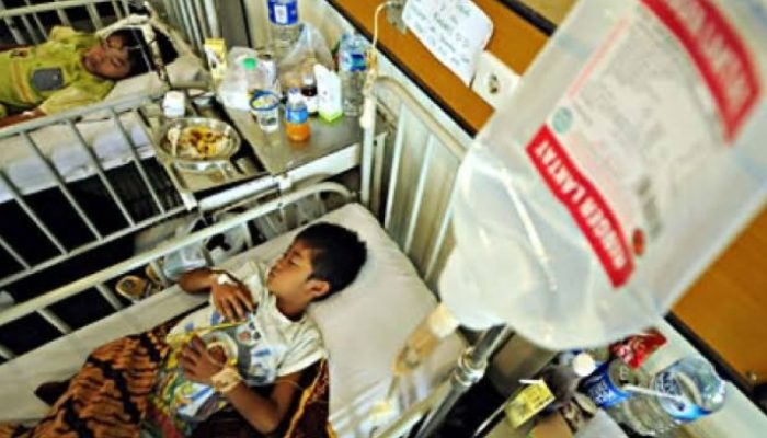 Selama Januari 2019, 18 Orang di Jabar Meninggal Dunia Karena DBD