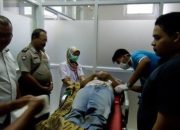 Seorang Mandor Perkebunan Miramare Tewas Disengat Lebah