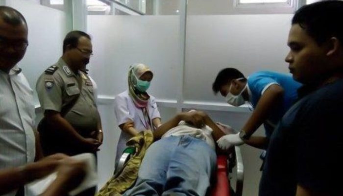 Seorang Mandor Perkebunan Miramare Tewas Disengat Lebah