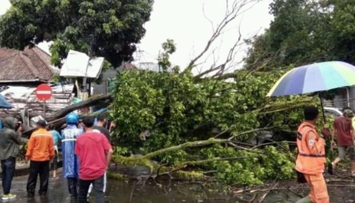 Angin Kencang Robohkan Pohon di Jalan Siliwangi Garut