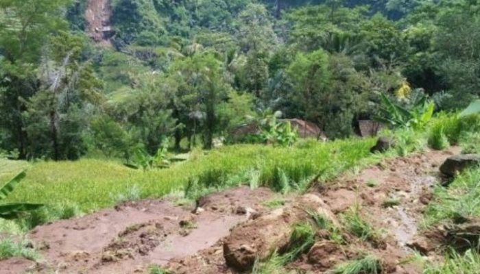 Pergerakan Tanah di Cidaun Cianjur Selatan, Puluhan Orang Mengungsi
