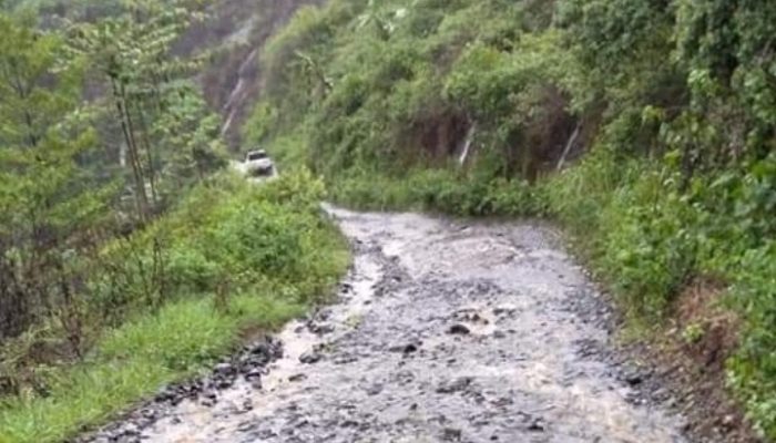 Konektivitas Jalan di Jabar Kurang Baik, Contohnya di Garut Selatan