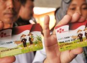 Petani Jagung di Garut Sudah Mulai Merasakan Manfaat Kartu Tani