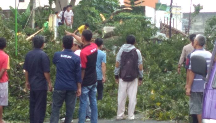 Pohon Tumbang di Jalan Bratayuda Garut, 1 Tewas dan 2 Luka-luka