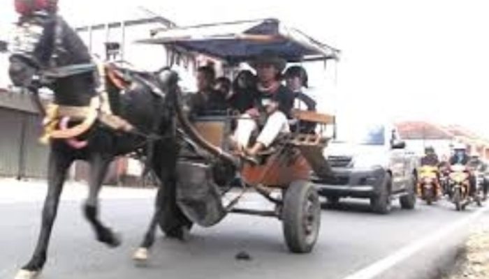 Delman Stop Beroperasi Saat Mudik, Pemkab Garut Siapkan Dana Konpensasi