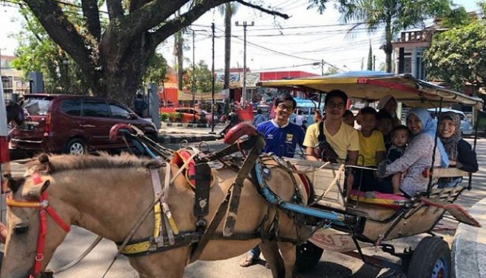 Garut Salah Satu Daerah di Jabar yang Miliki Delman Paling Banyak