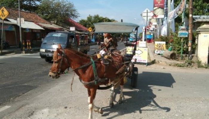 Pemkab Garut Mulai Berlakukan Larangan Delman Beroperasi di Jalur Mudik