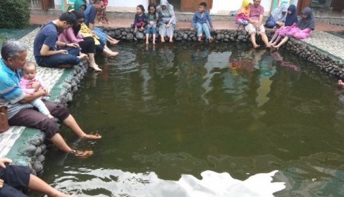 Pemudik Manfaatkan Kolam Ikan Terapi Gratis di Masjid Iqro Garut