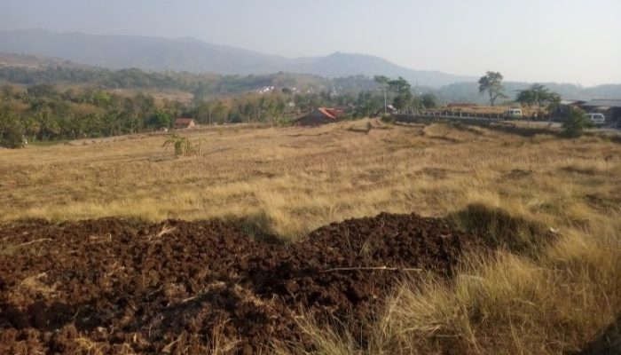 1.226 Ha Lahan Pertanian di Garut Dilanda Kekeringan, 202 Ha Gagal Panen