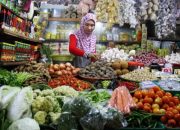 Dampak Kemarau, Produksi Sayuran di Garut Turun dan Harganya Naik