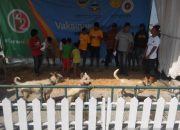 Aduh, Kabupaten Garut Jadi Pemasok Anjing Terbesar ke Sumatera