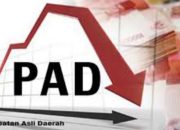 Untuk Pemekaran, PAD Garut Selatan Kembali Akan Dikaji Pemerintah Pusat