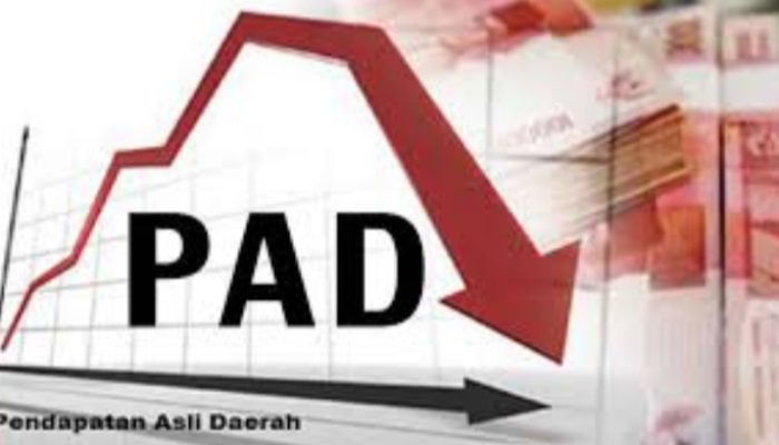 Untuk Pemekaran, PAD Garut Selatan Kembali Akan Dikaji Pemerintah Pusat
