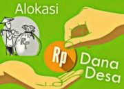 Pada RAPBN 2020 Dana Desa akan Naik Jadi Rp75 Triliun