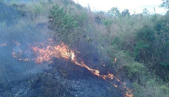 Polisi Akan Menindak Orang yang Sengaja Bakar Hutan Gunung Guntur