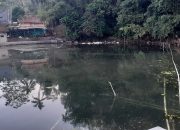 Setelah Lama Kering, Kolam Bermataair Seribu Ini Kembali Berair