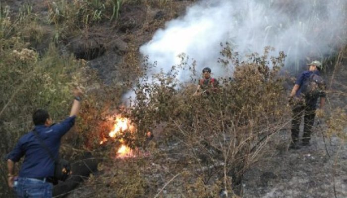 Hutan di Kabupaten Garut Rawan Kebakaran Saat Kemarau