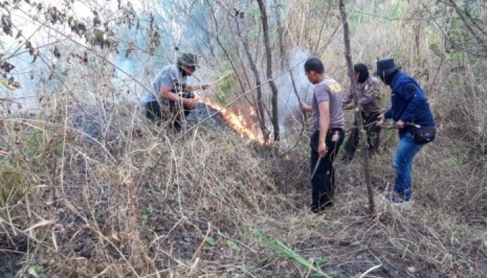 Selama Kemarau 2019, Gunung Guntur Tiga Kali Alami Kebakaran