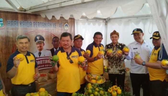 Hebat… Petani Garut Akan Dikirim ke Korea untuk Belajar