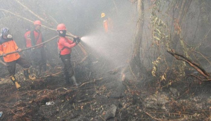 PDIP Serukan Agar Banguna di Daerah Bergotongroyong Atasi Dampak Karhutla