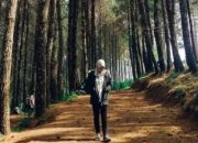 Kamojang Ecopark, Destinasi Wisata Hutan Pinus di Garut
