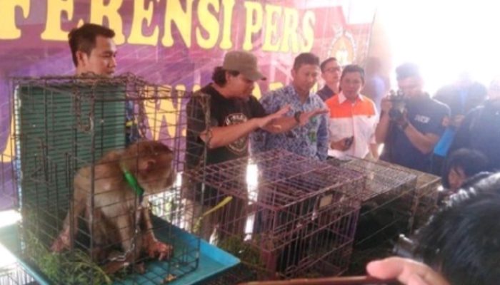 Polda Jabar Jadikan Tersangka Penjual Hewan Langka Lewat Medsos
