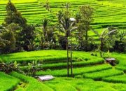 Desa Wisata Harus Berakselerasi Tanpa Menghilangkan Nilai Budaya