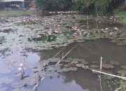 Proyek Rp300 Juta Belum Bisa Menaikkan Debet Air Balong Sirah