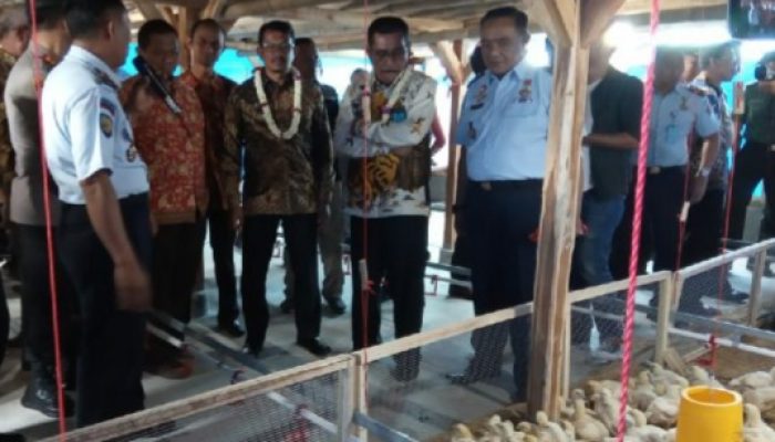 Kemenkumham Dirikan Tempat Pelatihan Ternak Ayam Bagi Warga Binaan Lapas Garut
