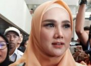 Baru Dilantik Anggota DPR RI, Mulan Jameela Langsung Digugat