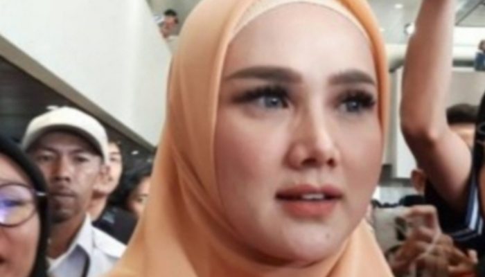 Baru Dilantik Anggota DPR RI, Mulan Jameela Langsung Digugat
