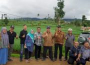 Awali 2020, Kementan Luncurkan GEDOR Hortikultura di Garut