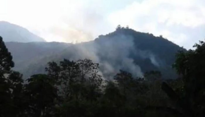 Antisipasi Bencana, 30 Ribu Pohon Ditanam di Lereng Gunung Guntur