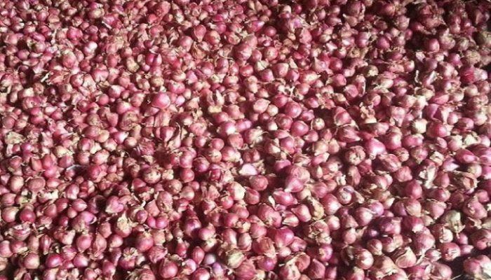 Garut Pasok 1.500 Ton Cabai dan Bawang Merah ke Jabotabek