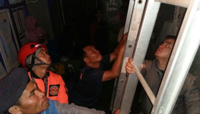 Resahkan Warga Muarasanding, Damkar Evakuasi Sarang Tawon Endas