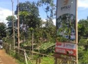 Empat Agrowisata di Garut Jadi Percontohan Daerah Lain di Indonesia