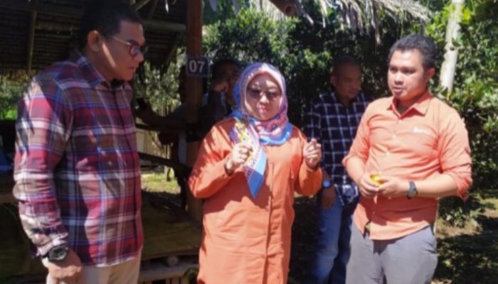 Kementan Dorong Kaum Milenial Garut untuk Miliki Semangat Bertani