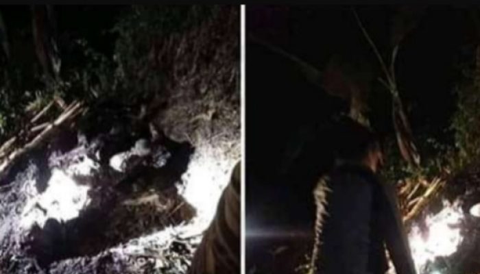 Sakit Hati, Pemuda 20 Tahun di Garut Bakar Nenek Hingga Tewas di Gubuk