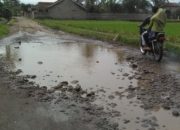 Sejumlah Ruas Jalan di Garut Bolong-bolong, Kadis PUPR: Itu Wajar