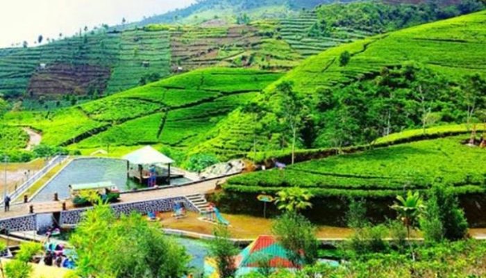 Garut Tetapkan 131 Desa Wisata Rintisan, Apa Bedanya dengan Wisata Desa?