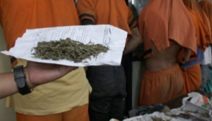 BNN Menolak Tegas Usulan Ekspor Ganja dari Anggota Fraksi PKS DPR RI