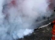 Dinkes Garut Ingatkan Warga untuk Waspada Jentik Nyamuk