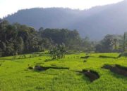 Kampung Saparantu, yang Hijau dan Segar di Garut Selatan