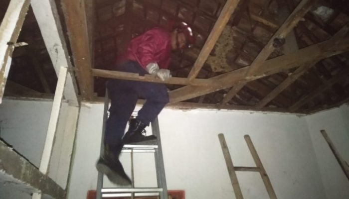 Mengganggu Warga, Sarang Tawon di Pameungpeuk Dimusnahkan