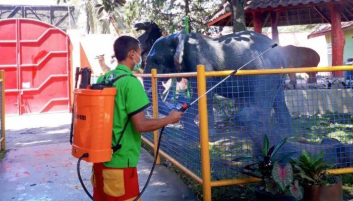 Cegah Corona, Taman Satwa Cikembulan Garut Tutup Sementara
