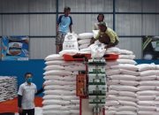 Setelah Dua Bulan Hilang, Kini Si Manis Kita Muncul Lagi di Garut