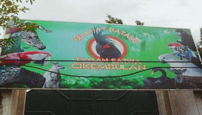 Tutup Sejak Pandemi Covid-19, Taman Satwa Cikembulan Tak Ada Pemasukan